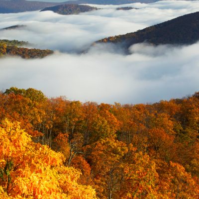 Best Hiking Trails In The Shenandoah Valley