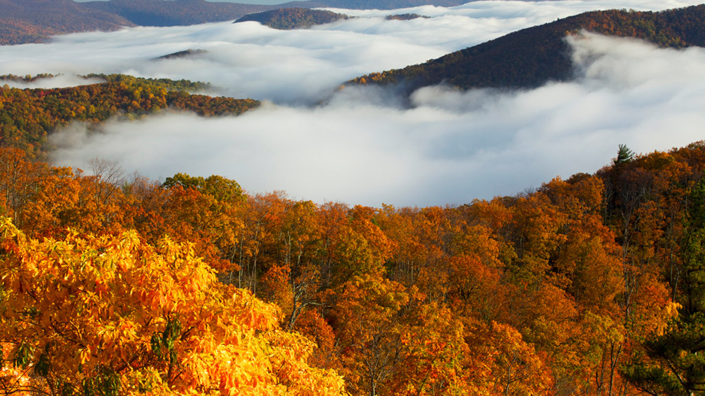 Best Hiking Trails In The Shenandoah Valley