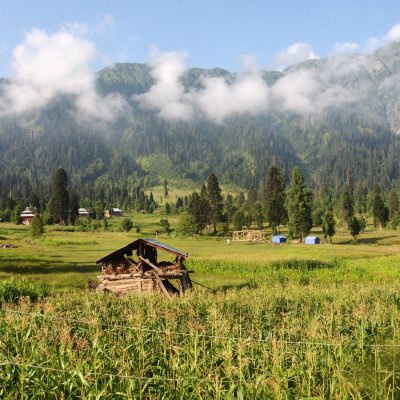 5 Things To Do In Kashmir